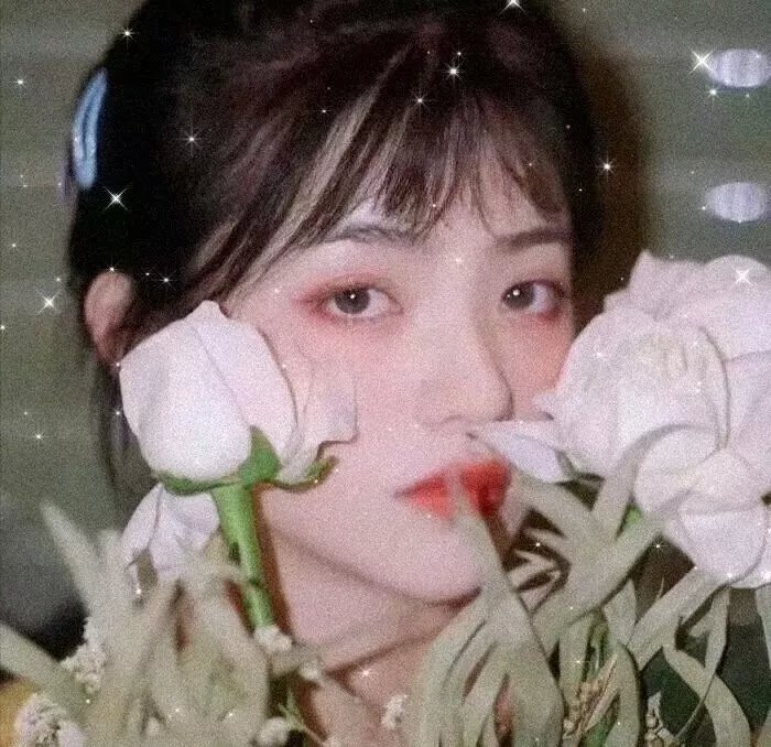 浪子镜